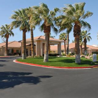 A hotel entrance surrounded by palm trees with a circular driveway.