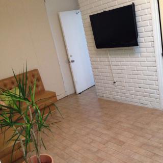 A cozy living room with a television on a brick wall, a plant, and a sofa.