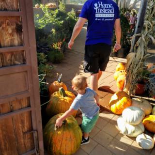 A child reaches for a large pumpkin while an adult walks nearby in a garden filled with pumpkins.