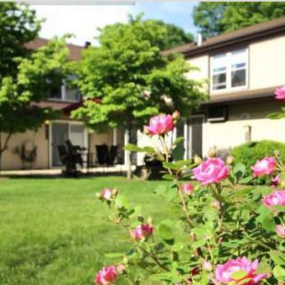 A scenic backyard with blooming flowers and a view of the house.