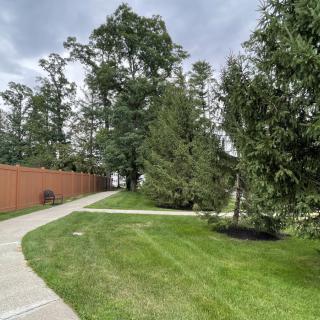 A scenic outdoor pathway surrounded by lush green grass and tall trees.