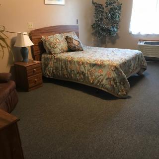 A cozy bedroom with a bed, nightstand, and decorative plants.