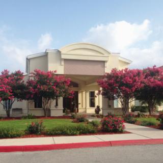 A building entrance with landscaped gardens and vibrant flowering trees.