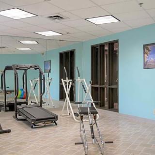 A bright gym with various exercise equipment including treadmills and ellipticals.
