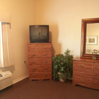 A bedroom corner featuring a television on a dresser, a mirror above another dresser, and a potted plant.