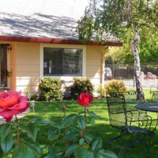 A cozy house with a blooming garden and patio furniture under the sun.
