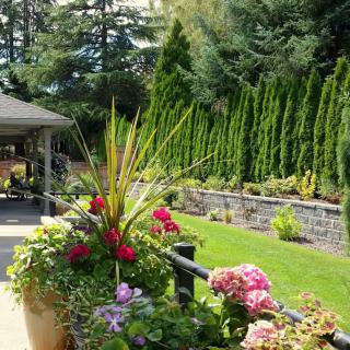 A beautifully landscaped garden with vibrant flowers and tall evergreens.