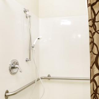 An accessible bathroom shower with grab bars and a patterned shower curtain.