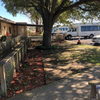 A shaded sidewalk area with a large tree, fenced yard, and parked vehicles.
