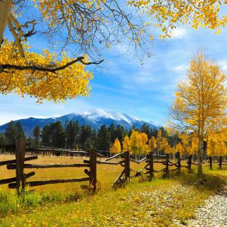 A picturesque autumn landscape with vibrant yellow trees, a wooden fence, and snow-capped mountains in the background under a clear blue sky.
