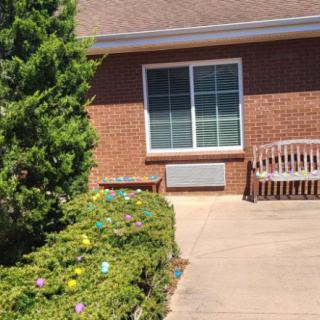 A sunny outdoor view of a brick building with a window, surrounded by plants and benches.