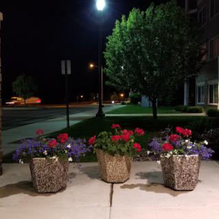 A serene night view featuring three flower planters illuminated by streetlights.