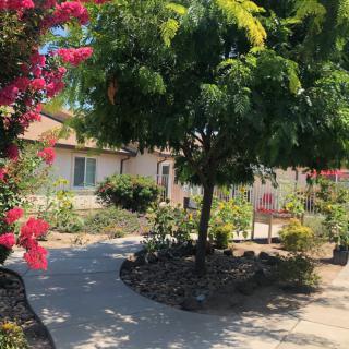 A peaceful garden path leading to a cozy house, surrounded by lush trees and vibrant flowers.