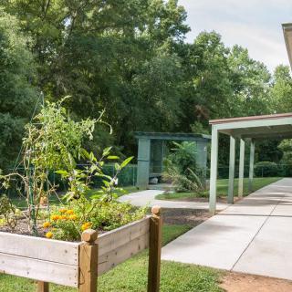 A peaceful outdoor scene with a raised garden bed and a walkway surrounded by lush greenery.