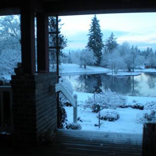 A serene winter landscape with snow-covered ground and a frozen pond surrounded by trees.