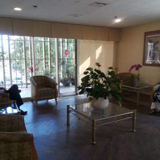 A well-lit waiting room with chairs, a table, and a large plant near a window.