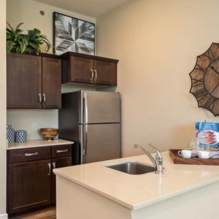 A modern kitchen with dark wood cabinets and stainless steel appliances.