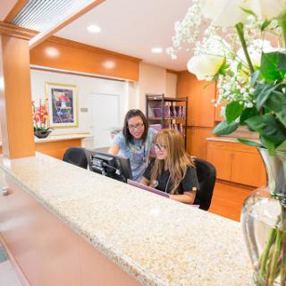 Two staff members attending to work at the reception desk in a welcoming office environment.