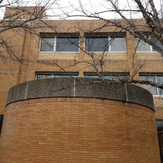 A close-up view of a circular brick structure with windows overhead, set against the backdrop of bare tree branches.