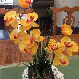 A beautiful arrangement of yellow orchids, adding a touch of elegance to the indoor space.