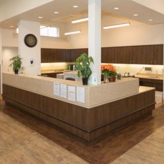 A modern office reception area featuring sleek wooden paneling and indoor plants.
