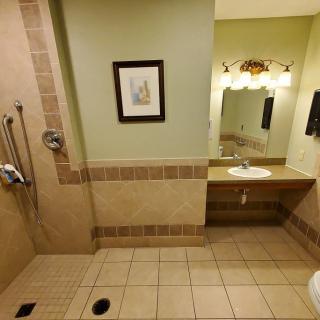 An accessible bathroom with a walk-in shower and handrails, featuring a mirror and sink.