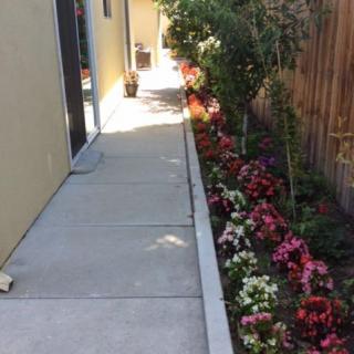A well-maintained garden path lined with vibrant flowers.