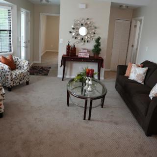 A cozy living room featuring a mix of stylish furniture and decorative elements.