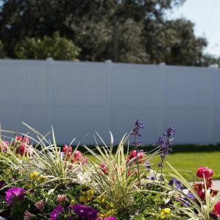 A colorful garden with various flowers in front of a white fence.