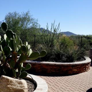 A serene desert landscape featuring a curved stone planter with cacti and lush greenery, set against a backdrop of mountains under a clear blue sky.
