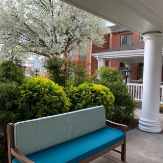 A serene garden with a bench and blooming tree near a residential porch.