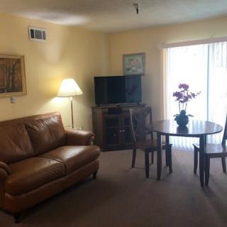 A cozy living room with a sofa, dining table, and television.