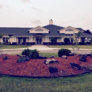 Suburban house with landscaped garden