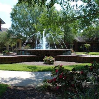 A serene garden featuring a beautiful fountain, surrounded by lush greenery and vibrant flowers.