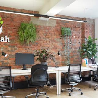 A modern office workspace featuring sleek desks, computer stations, and vibrant greenery against a stylish brick wall.