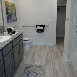 A modern bathroom with a vanity, toilet, and decorative elements.