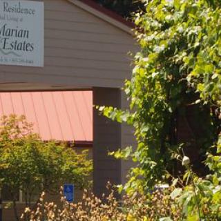 A scenic view of a vineyard entrance with lush greenery and a building in the background.