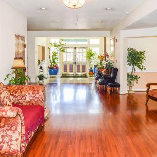 A bright and spacious living room with hardwood flooring and elegant furniture, adorned with indoor plants.