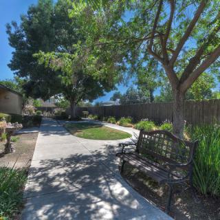 A peaceful garden pathway with a bench under the shade of leafy trees.