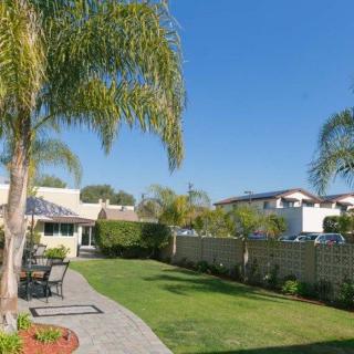 A sunny backyard featuring palm trees, a well-manicured lawn, and patio furniture.