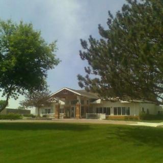 A house surrounded by a well-maintained lawn and tall trees under a clear sky.