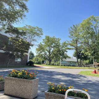 A serene outdoor view featuring lush trees, blooming flowers, and a clear blue sky.
