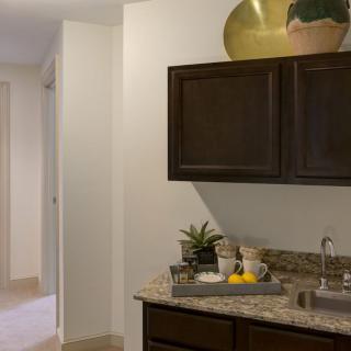 A modern kitchen interior with dark cabinets and decorative plants on the countertop.