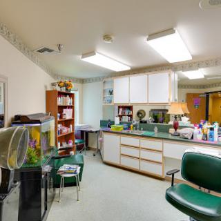 A well-organized medical office featuring green chairs and shelves filled with supplies.