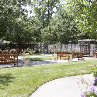 A serene garden scene with benches and a winding pathway surrounded by lush greenery.