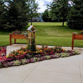 A beautiful garden with vibrant flowers and raised planters on a sunny day.