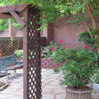 A peaceful garden setting with a pergola, bench, and vibrant plants.