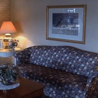 A cozy living room with a patterned sofa, side lamp, and framed artwork.