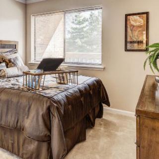 A cozy bedroom with a large bed, natural lighting from the window, and decorative elements.