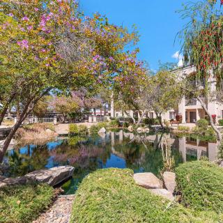 A tranquil garden scene featuring a pond surrounded by lush greenery and blooming trees under a clear blue sky.